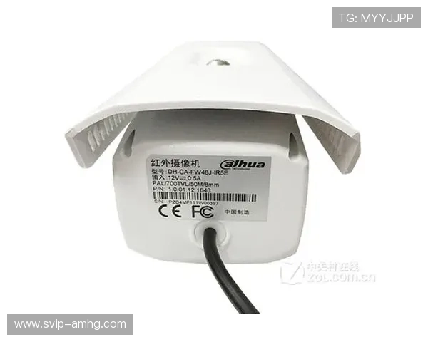 皇冠手机官网旗舰店官方店铺，信誉保障让您购买更安心享受优质生活